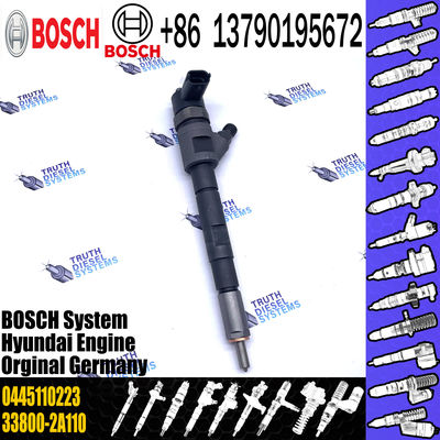 0445 110 223 Auto Fuel Injector 0 445 110 223 Engine Parts Injection 0445110223 for Hyundai