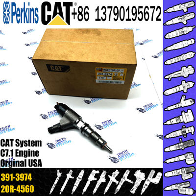 High quality Diesel Injector 391-3974 3913974 254-4399 2544399 265-8106 2658106