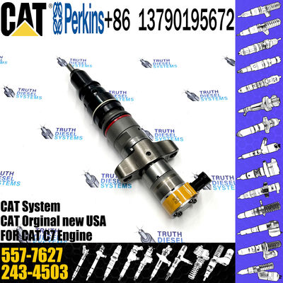 C7 C9 Fuel Injector 387-9427 557-7627 293-4071 295-1411 293-4573 10R-4763 20R-8059 20R-8057 For Caterpillar Excavator