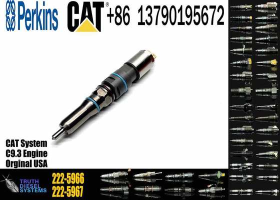 Engine Fuel Injector Common Rail Injector 222-5966 456-3544 460-8213 456-3545 342-5487 for Cat 336E C9.3