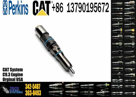 Common Rail Fuel Injector 304-3637 324-5467 342-5487