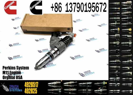 Auto Parts Diesel Injector 4928517 Common Rail Injector 4928517