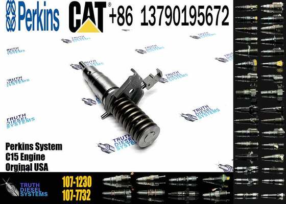 3116 Fuel Injector 1071230 107-1230 4P1731 4P-1731 0R8461 127-8222 1278222 for 3114 3116 3126 950F 960F 963B