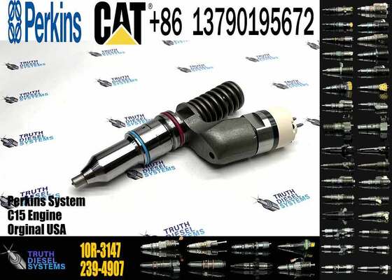 C13 Injector 10r-3147 249-0712 249-0713 2490712 for Fuel Injector