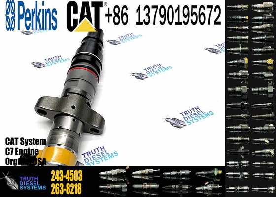 Factory Price 238-8091 241-3238 241-3239 243-4502 295-1408 387-9430 20R-8057 243-4503 20R-8058 Injector
