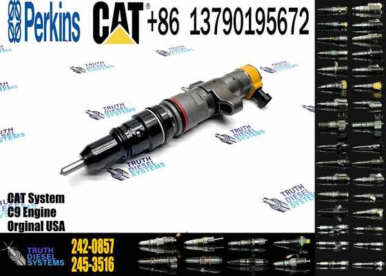 Excavator Accessories Fuel Injector 225-0117 236-0957 238-8092 240-8063 242-0857 245-3516 for CAT C9 Construction Machinery