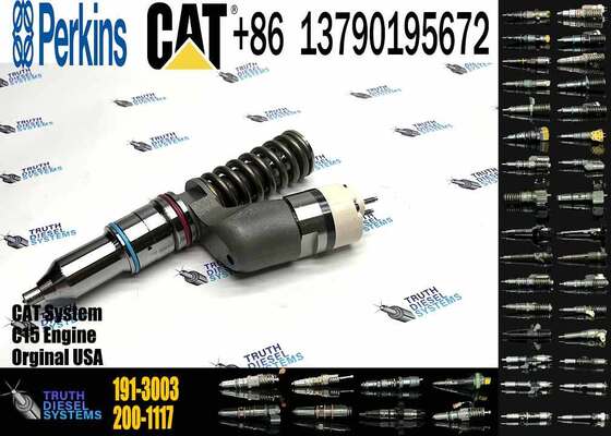 Excavator Accessories for CAT C11 C13 C15 Fuel Injector 191-3003 1913003 200-1117 2001117 for Construction Machinery