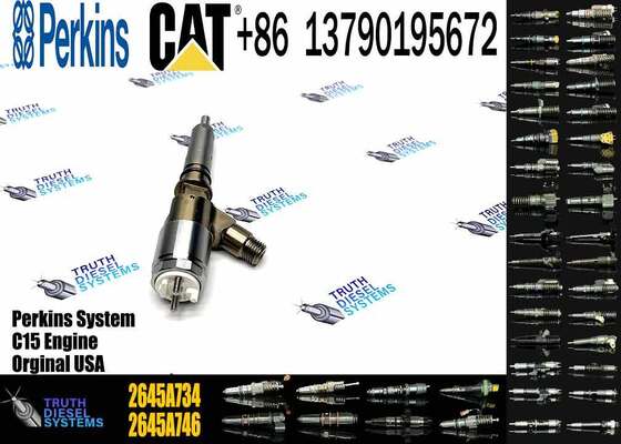 New Quality Common Rail Fuel Injector 306-9380 2645A734 Engine Fuel Injector for Engine C6.6 924HZ Inyector Injecteur
