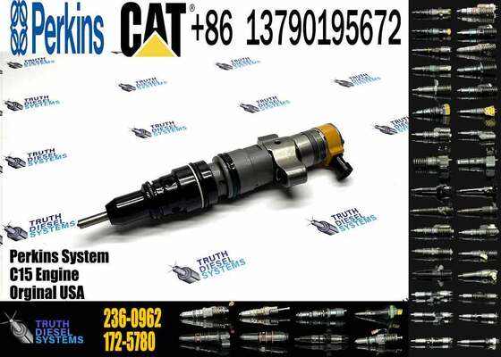 New C-9 Engine Diesel Fuel Injector 236-0962 217-2570 10R-7225 10R-7224 for Excavator Parts Condition