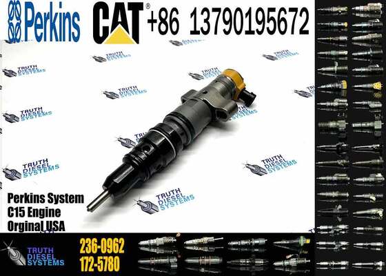 New C-9 Engine Diesel Fuel Injector 236-0962 217-2570 10R-7225 10R-7224 for Excavator Parts Condition