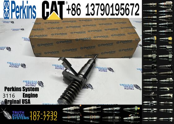 Wholesale High-performance Fuel Components Diesel Fuel Injector 127-8216 127-8230 173-4647 107-1230 for CAT 3116 Diesel Engine