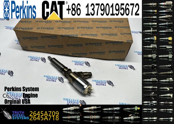 High Quality New Fuel System Parts Diesel Fuel Injector 282-0490 2645A709 for Diesel Engine