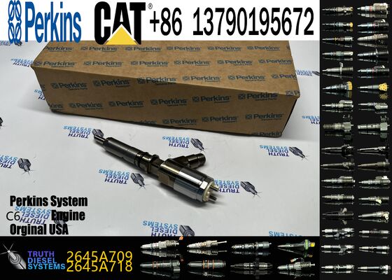 High Quality New Fuel System Parts Diesel Fuel Injector 282-0490 2645A709 for Diesel Engine