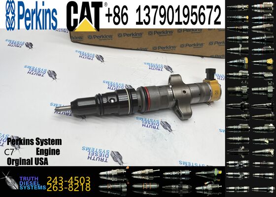 387-9429 295-1409 243-4503 328-2584 High Quality Common Rail Diesel Fuel Injector Replacement Injector for C7 Engine