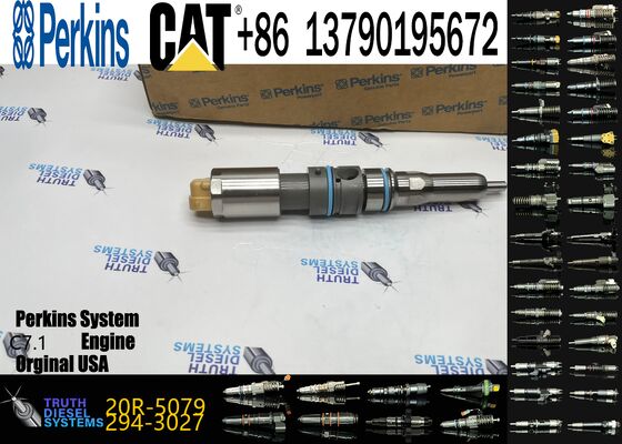 Diesel Engine Auto Parts Common Rail Fuel Injector 456-3544 20R-5079 for Engine C-9